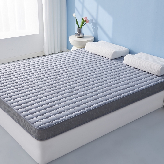 91家纺网 家纺一手货源 找家纺 （总）华誉 2025新款跨境电商专供鸟眼布床垫