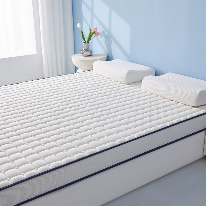 91家纺网 家纺一手货源 找家纺 华誉 2025新款跨境电商专供鸟眼布床垫 面包格白色