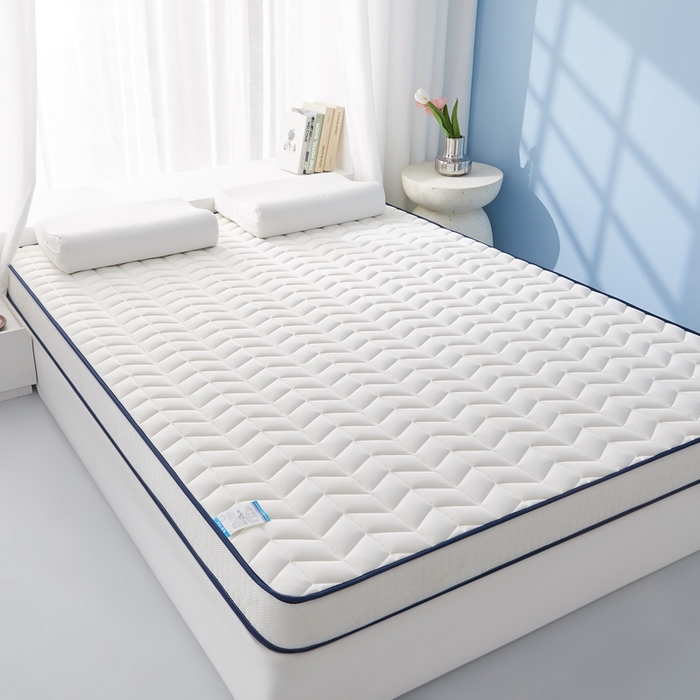 91家纺网 家纺一手货源 找家纺 华誉 2025新款跨境电商专供鸟眼布床垫 麦穗白色