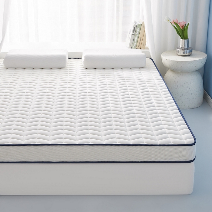 91家纺网 家纺一手货源 找家纺 华誉 2025新款跨境电商专供鸟眼布床垫 麦穗白色