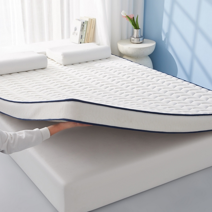 91家纺网 家纺一手货源 找家纺 华誉 2025新款跨境电商专供鸟眼布床垫 麦穗白色