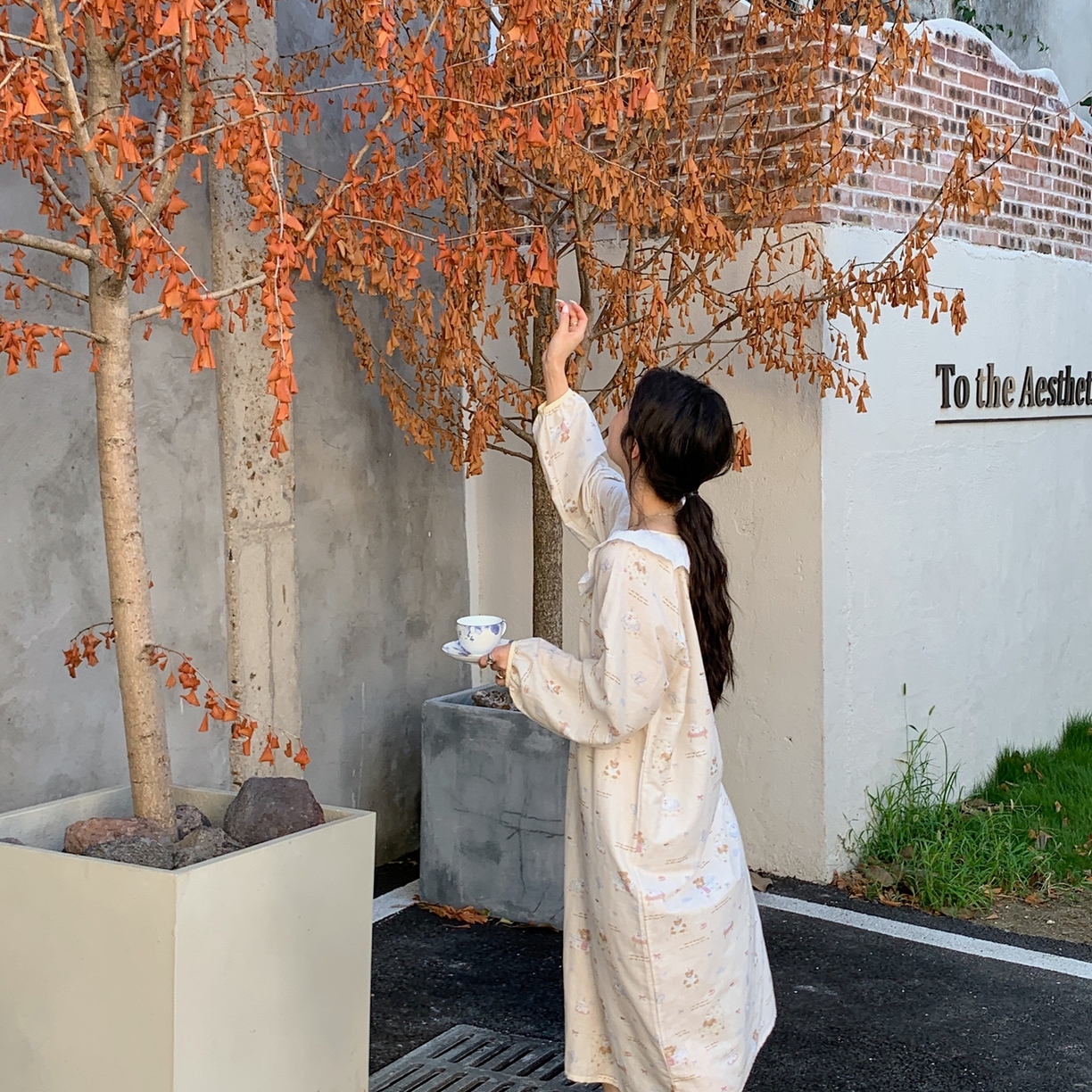 91家纺网 家纺一手货源 找家纺 纽约生活 2025新款有氧纱蕾丝长袖裙（会员-5） 沙发小狗