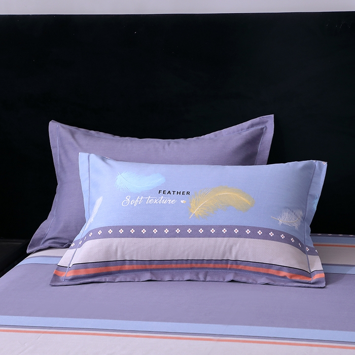 馨雅家纺 2025新款全棉纯棉磨毛系列枕套单品枕套单件单枕套 弗郎-蓝