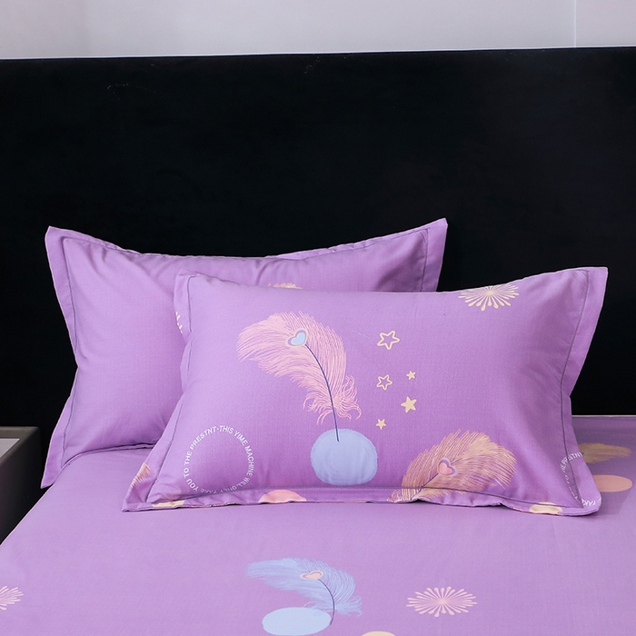 馨雅家纺 2025新款全棉纯棉磨毛系列枕套单品枕套单件单枕套 羽织梦-紫