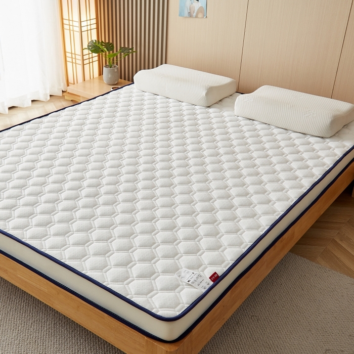 91家纺网 家纺一手货源 找家纺 华誉 2025新款跨境电商专供鸟眼布床垫 立体菱格白