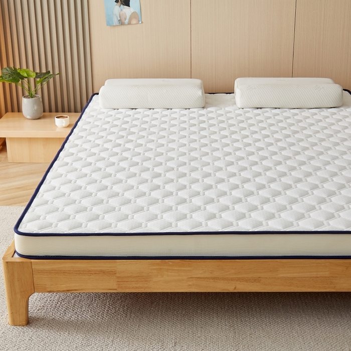 91家纺网 家纺一手货源 找家纺 华誉 2025新款跨境电商专供鸟眼布床垫 立体菱格白