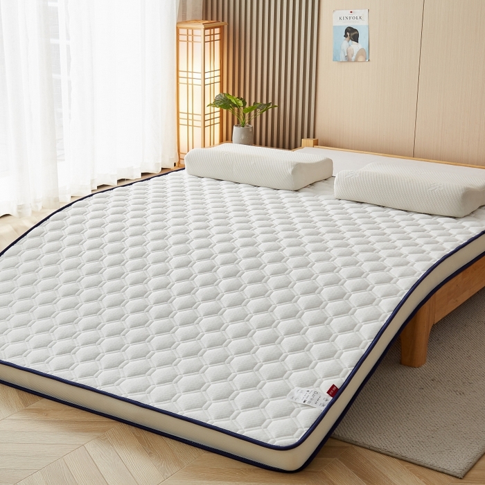 91家纺网 家纺一手货源 找家纺 华誉 2025新款跨境电商专供鸟眼布床垫 立体菱格白