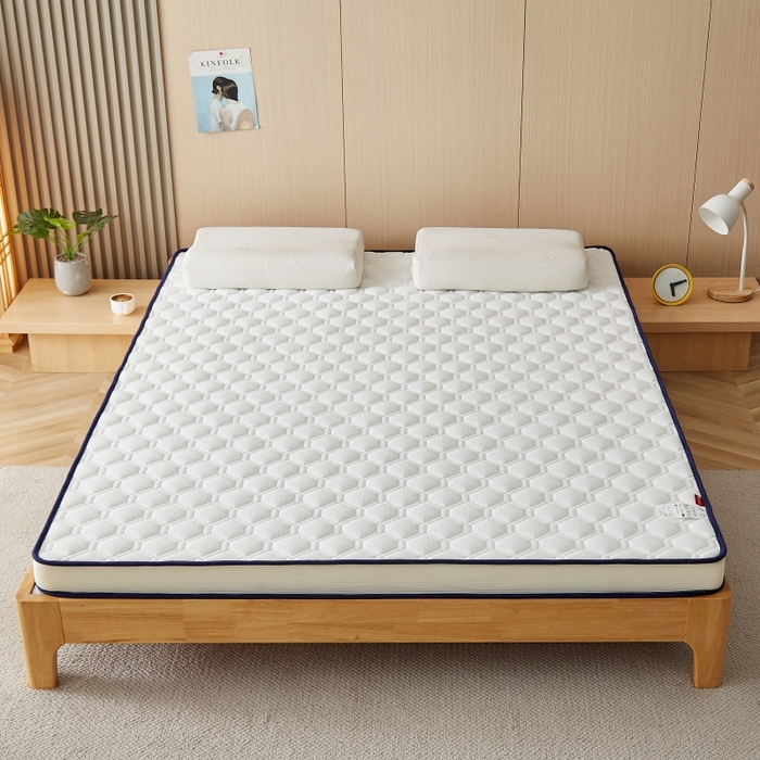 91家纺网 家纺一手货源 找家纺 华誉 2025新款跨境电商专供鸟眼布床垫 立体菱格白