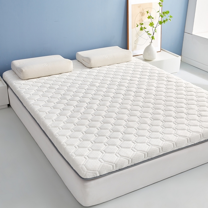 91家纺网 家纺一手货源 找家纺 华誉 2025新款跨境电商专供鸟眼布床垫 单边款菱格白