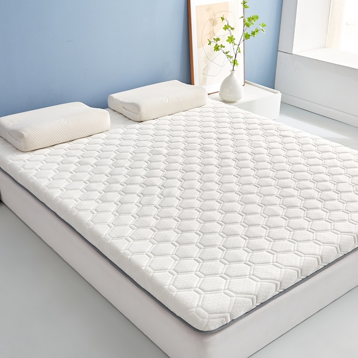 91家纺网 家纺一手货源 找家纺 华誉 2025新款跨境电商专供鸟眼布床垫 单边款菱格白