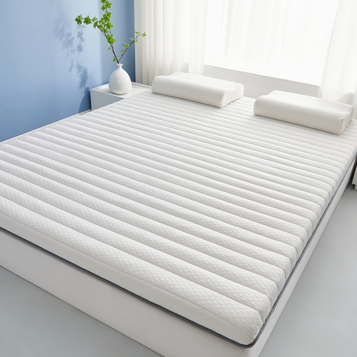 91家纺网 家纺一手货源 找家纺 华誉 2025新款跨境电商专供鸟眼布床垫 单边款直线白色