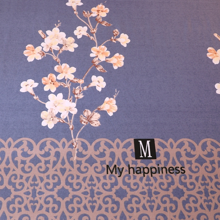 91家纺网 家纺一手货源 找家纺 馨雅家纺 2025新款全棉纯棉磨毛系列床单单品床单单件单床单 芳菲时光-蓝