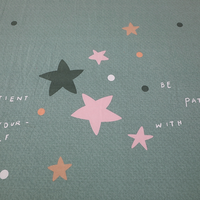 91家纺网 家纺一手货源 找家纺 馨雅家纺 2025新款全棉纯棉磨毛系列床单单品床单单件单床单 星恋-绿