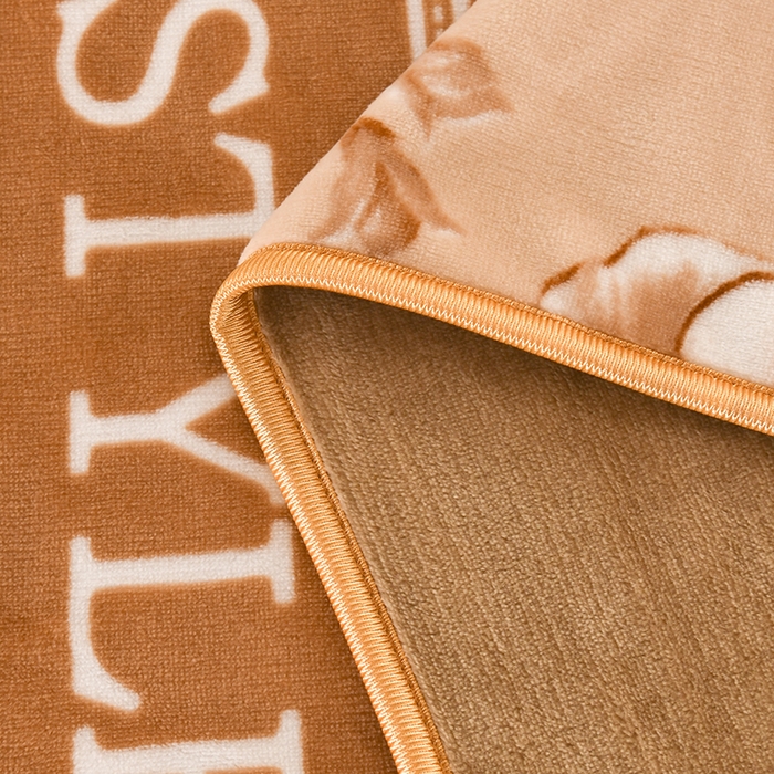 91家纺网 家纺一手货源 找家纺 望淮 2025新款230g印花金貂绒牛奶绒四件套 翩翩起舞-咖