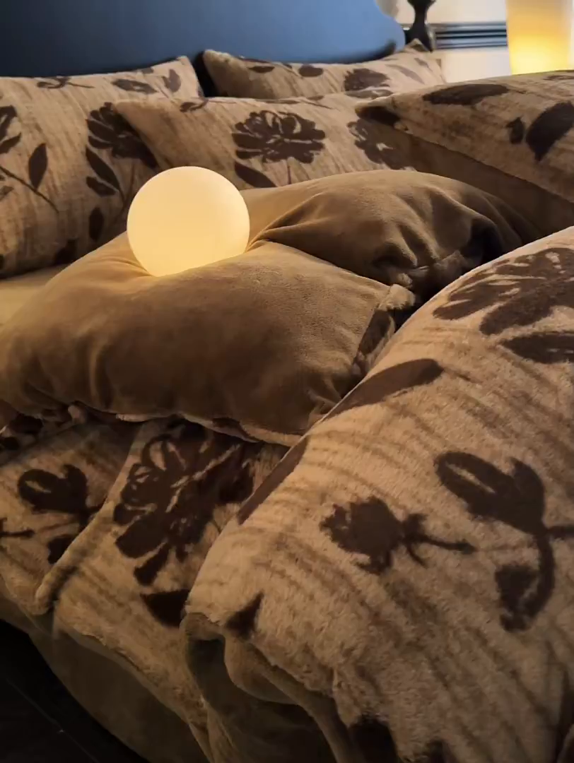 91家纺网 家纺一手货源 找家纺 米彩家纺 2025新款A类高克重兔毛绒印花雕花四件套-美拉德-美拉德系列系列 美拉德-花海咖