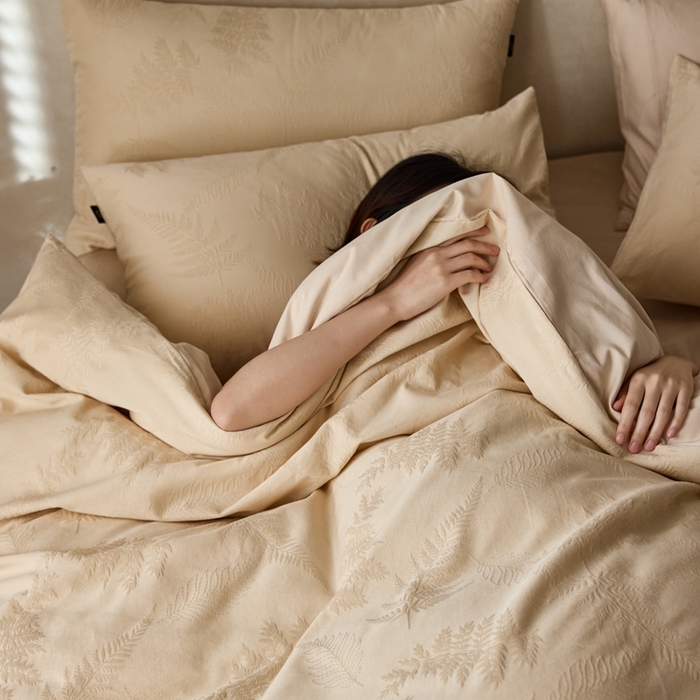 91家纺网 家纺一手货源 找家纺 禾时 2025新款60s轻奢提花磨毛四件套—云杉 云杉-皇家米