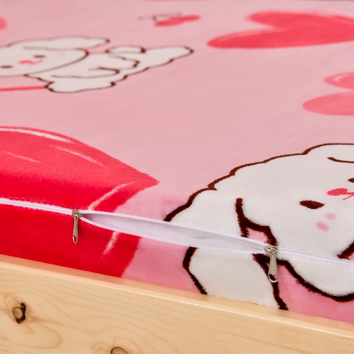 91家纺网 家纺一手货源 找家纺 居尚2025直播爆款高克重印花牛奶绒法莱绒学生三件套  萌宠乐园