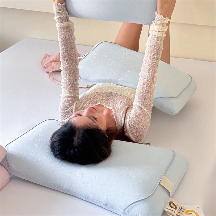 91家纺网 家纺一手货源 找家纺 伟邦枕芯 2025新款全棉提花针织高端生物基枕枕头枕芯 蓝色