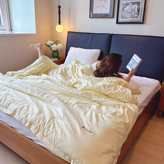 91家纺网 家纺一手货源 找家纺 兜米家居 2025新款深睡被Pro拉链款二合一控温四季被可机洗被子被芯 鹅黄色