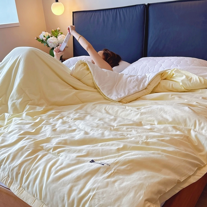 91家纺网 家纺一手货源 找家纺 兜米家居 2025新款深睡被Pro拉链款二合一控温四季被可机洗被子被芯 鹅黄色