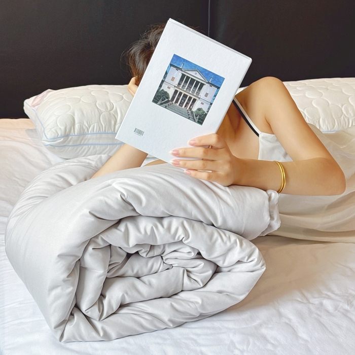 91家纺网 家纺一手货源 找家纺 兜米家居 2025新款深睡被Pro拉链款二合一控温四季被可机洗被子被芯 黎明灰