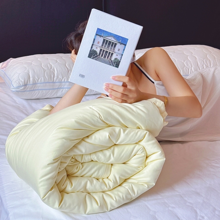 91家纺网 家纺一手货源 找家纺 兜米家居 2025新款深睡被Pro拉链款二合一控温四季被可机洗被子被芯 鹅黄色