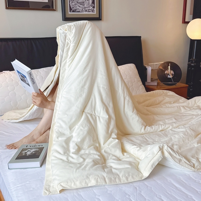 91家纺网 家纺一手货源 找家纺 兜米家居 2025新款深睡被Pro拉链款二合一控温四季被可机洗被子被芯 云朵白