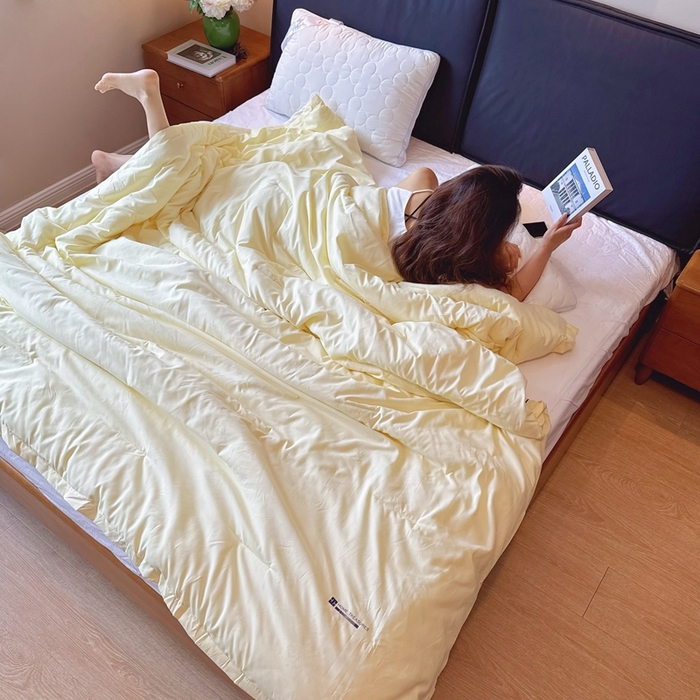 91家纺网 家纺一手货源 找家纺 兜米家居 2025新款深睡被Pro拉链款二合一控温四季被可机洗被子被芯 鹅黄色