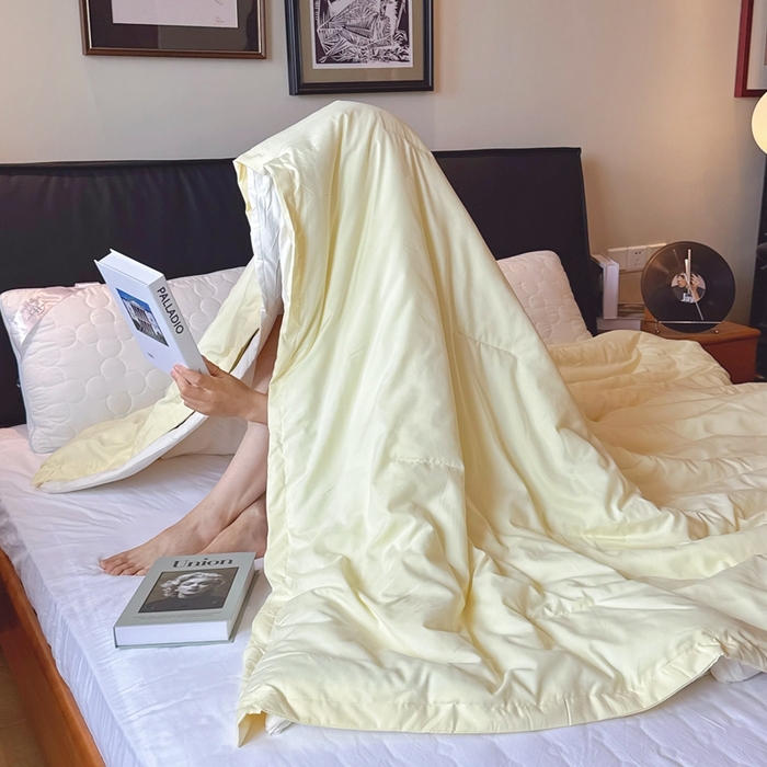 91家纺网 家纺一手货源 找家纺 兜米家居 2025新款深睡被Pro拉链款二合一控温四季被可机洗被子被芯 鹅黄色