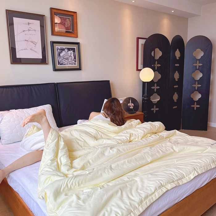 91家纺网 家纺一手货源 找家纺 兜米家居 2025新款深睡被Pro拉链款二合一控温四季被可机洗被子被芯 鹅黄色