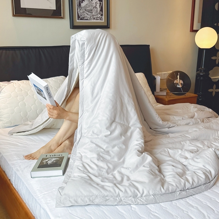 91家纺网 家纺一手货源 找家纺 兜米家居 2025新款深睡被Pro拉链款二合一控温四季被可机洗被子被芯 黎明灰