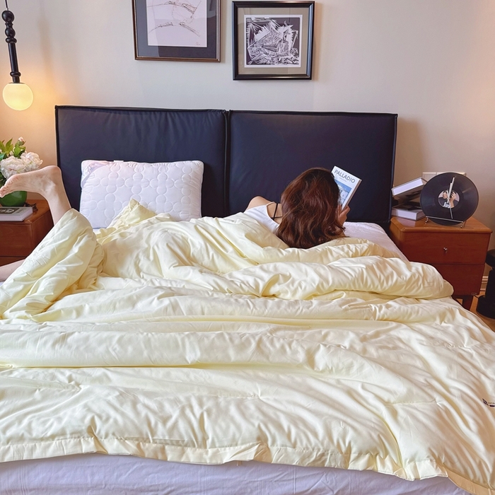 91家纺网 家纺一手货源 找家纺 兜米家居 2025新款深睡被Pro拉链款二合一控温四季被可机洗被子被芯 鹅黄色