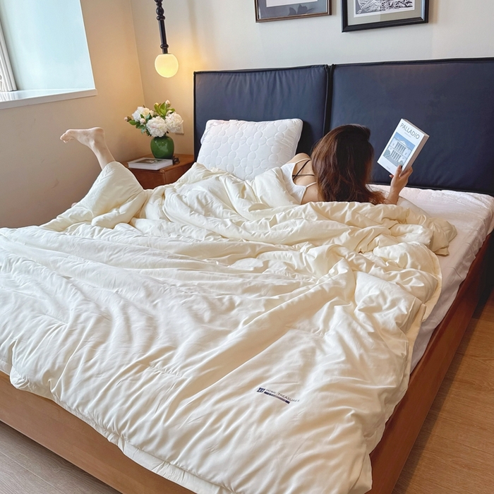 91家纺网 家纺一手货源 找家纺 兜米家居 2025新款深睡被Pro拉链款二合一控温四季被可机洗被子被芯 云朵白