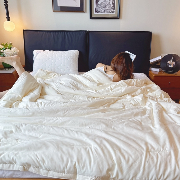 91家纺网 家纺一手货源 找家纺 兜米家居 2025新款深睡被Pro拉链款二合一控温四季被可机洗被子被芯 云朵白