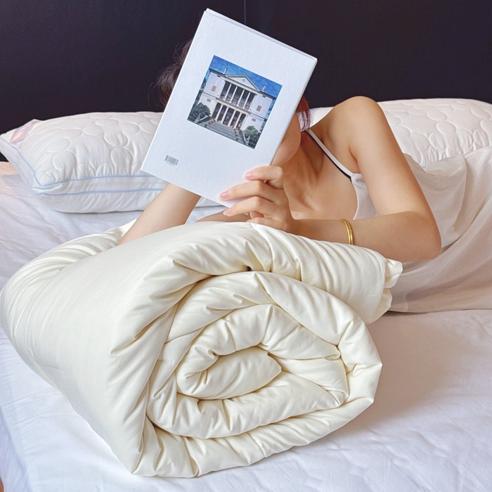 91家纺网 家纺一手货源 找家纺 兜米家居 2025新款深睡被Pro拉链款二合一控温四季被可机洗被子被芯 云朵白