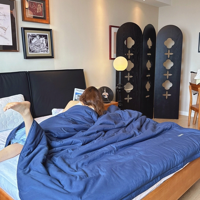 91家纺网 家纺一手货源 找家纺 兜米家居 2025新款深睡被Pro拉链款二合一控温四季被可机洗被子被芯 远山蓝