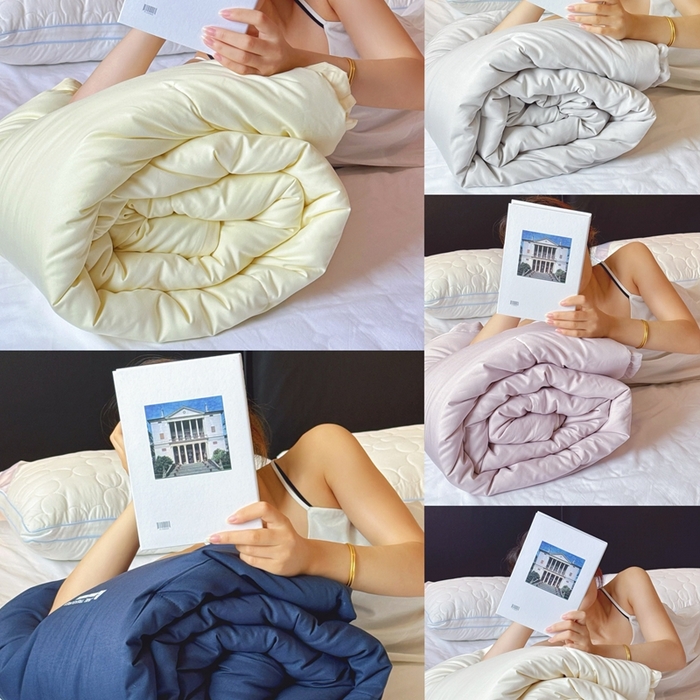 91家纺网 家纺一手货源 找家纺 兜米家居 2025新款深睡被Pro拉链款二合一控温四季被可机洗被子被芯 远山蓝