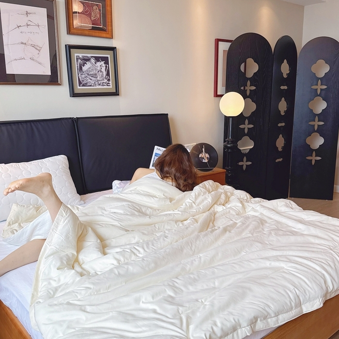 91家纺网 家纺一手货源 找家纺 兜米家居 2025新款深睡被Pro拉链款二合一控温四季被可机洗被子被芯 云朵白