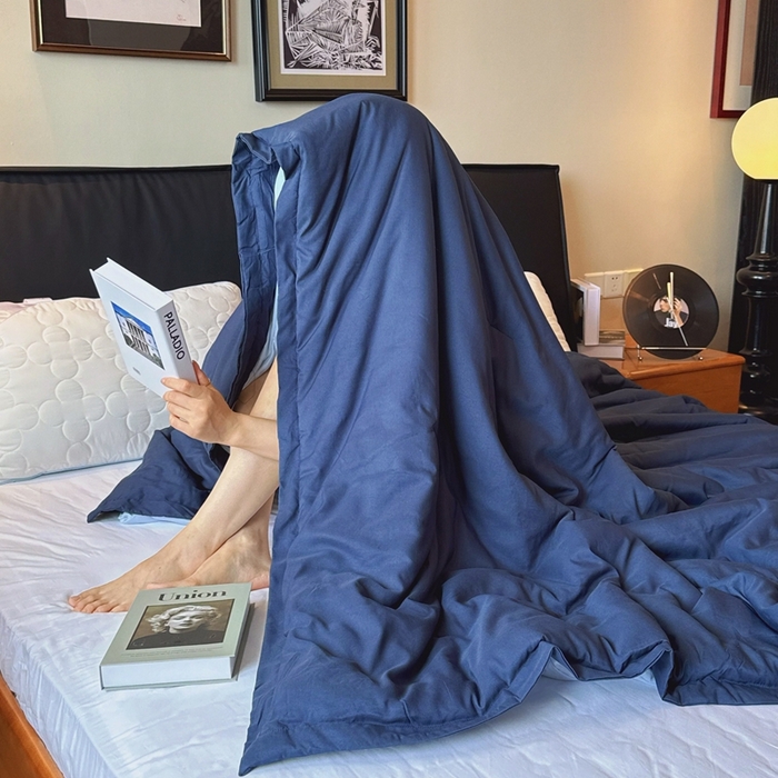 91家纺网 家纺一手货源 找家纺 兜米家居 2025新款深睡被Pro拉链款二合一控温四季被可机洗被子被芯 远山蓝