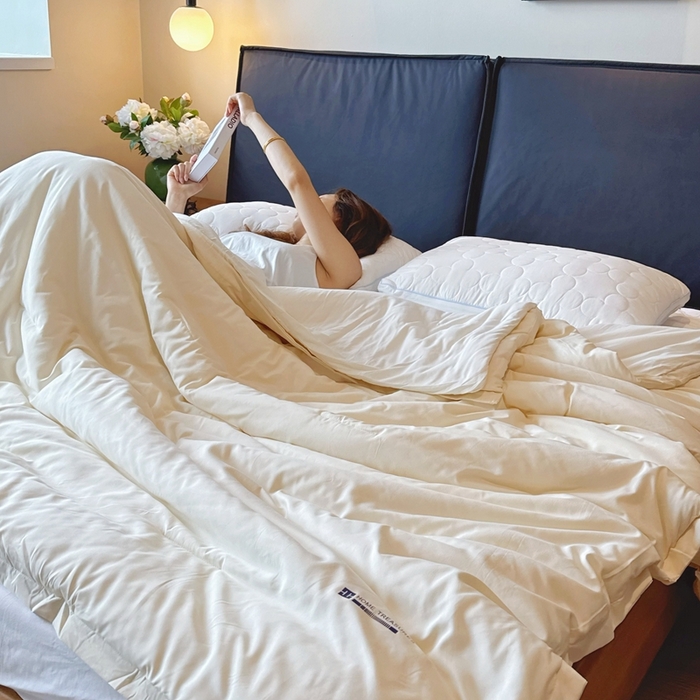 91家纺网 家纺一手货源 找家纺 兜米家居 2025新款深睡被Pro拉链款二合一控温四季被可机洗被子被芯 云朵白