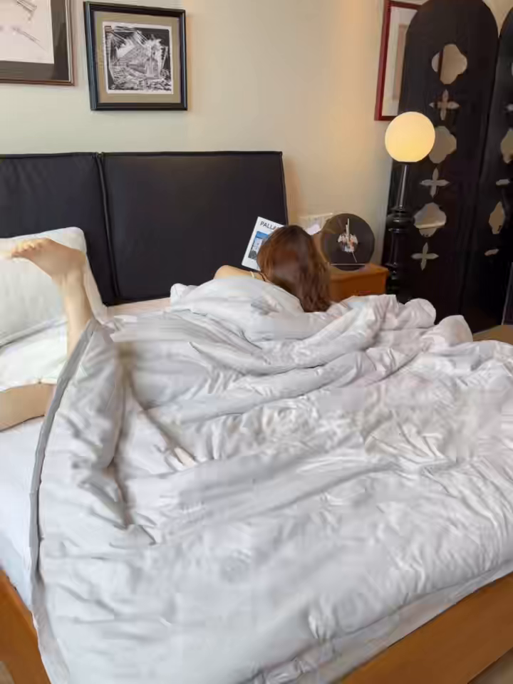 91家纺网 家纺一手货源 找家纺 兜米家居 2025新款深睡被Pro拉链款二合一控温四季被可机洗被子被芯 云朵白