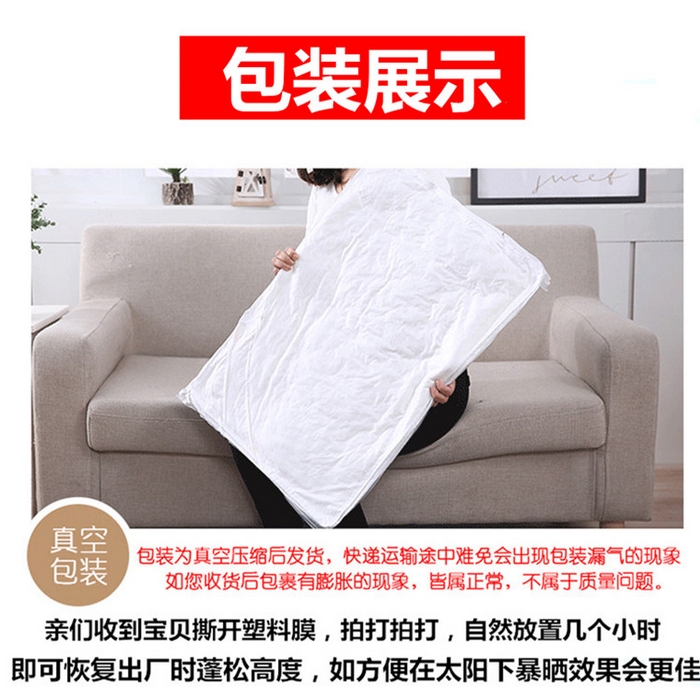 91家纺网 家纺一手货源 找家纺 （总）小叮当家纺仓储工厂店 2025新款立体绗绣科技睡眠抗菌枕枕头护颈枕白网绗绣枕酒店羽丝绒枕头