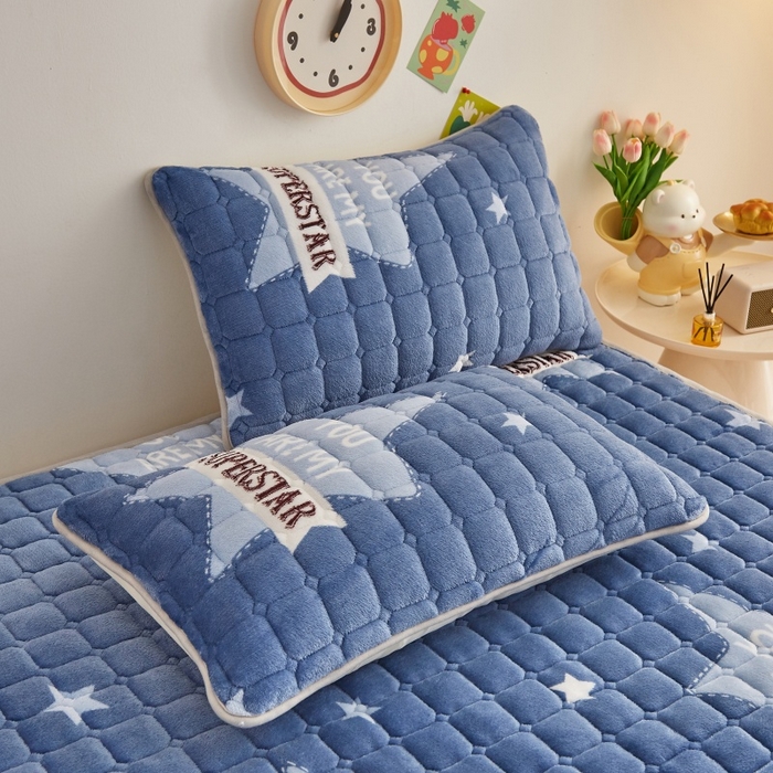 91家纺网 家纺一手货源 找家纺 奇丝雅 2025新款A类牛奶绒床褥床垫软垫家用学生宿舍上下铺寝室床护垫夹棉褥子-大床款套件 幸运星