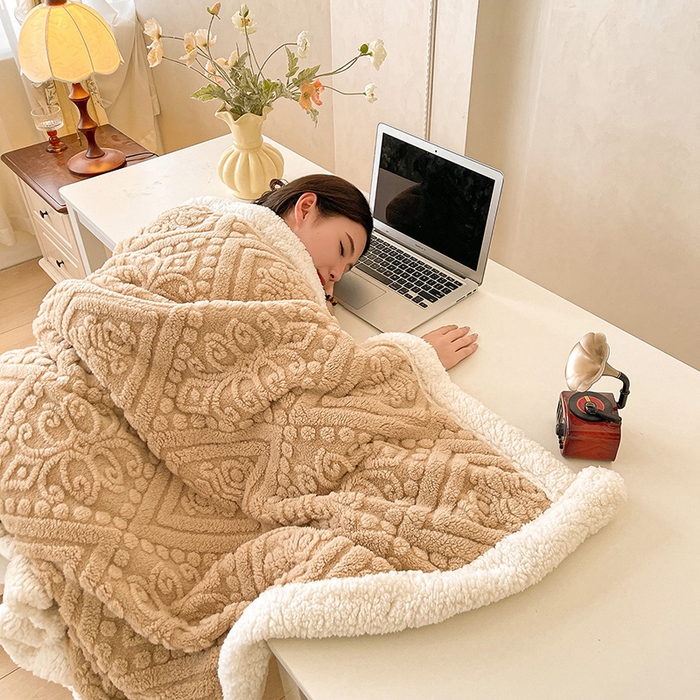 91家纺网 家纺一手货源 找家纺 世纪绒品 2025新款5D雕花毛毯 焦糖