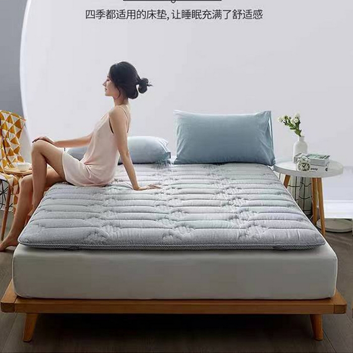91家纺网 家纺一手货源 找家纺 （总）红淳家纺 2025新款全棉床垫学生宿舍床褥家用床垫子