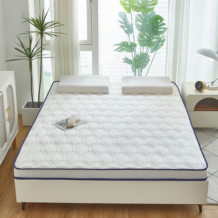 91家纺网 家纺一手货源 找家纺 （总）赢盛家纺 2025新款针织记忆海绵床垫大学生床垫上下铺床垫单人床垫记忆棉床垫高中生床垫子