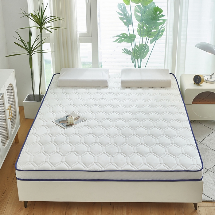 91家纺网 家纺一手货源 找家纺 赢盛家纺 2025新款针织记忆海绵床垫大学生床垫上下铺床垫单人床垫记忆棉床垫高中生床垫子 经典白