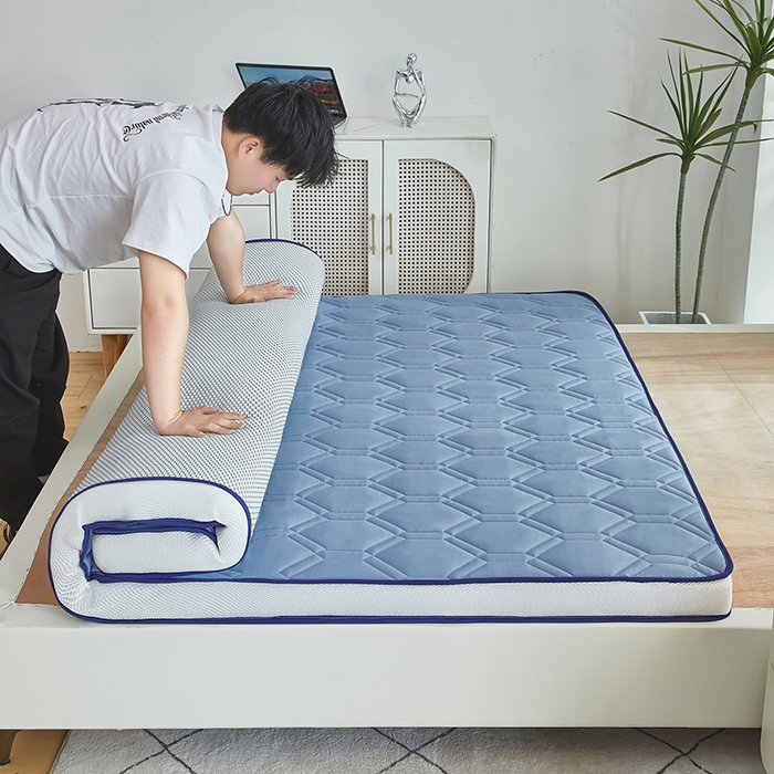 91家纺网 家纺一手货源 找家纺 赢盛家纺 2025新款针织记忆海绵床垫大学生床垫上下铺床垫单人床垫记忆棉床垫高中生床垫子 天空蓝