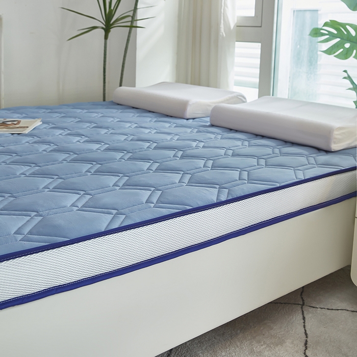 91家纺网 家纺一手货源 找家纺 赢盛家纺 2025新款针织记忆海绵床垫大学生床垫上下铺床垫单人床垫记忆棉床垫高中生床垫子 天空蓝