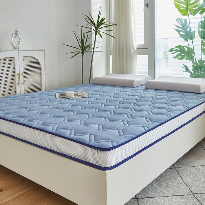 91家纺网 家纺一手货源 找家纺 赢盛家纺 2025新款针织记忆海绵床垫大学生床垫上下铺床垫单人床垫记忆棉床垫高中生床垫子 天空蓝